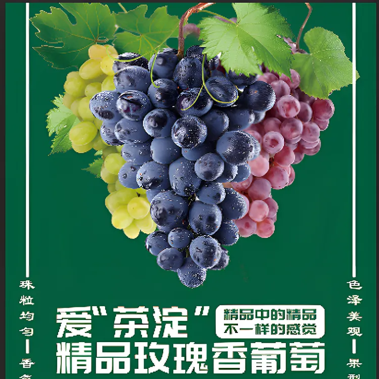 天津茶淀玫瑰香葡萄产地优质颗粒精品有机原产种植京津冀包邮