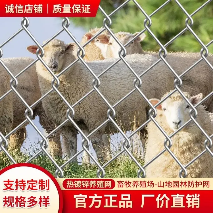镀锌铁丝网围栏防护网勾花网优质养殖羊牛猪栏网果园栅栏护栏网