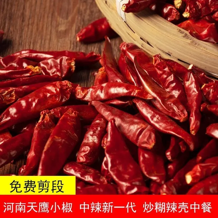 河南天鹰小椒100g干辣椒 中辣新一代 中餐炒菜面馆油泼辣子商用