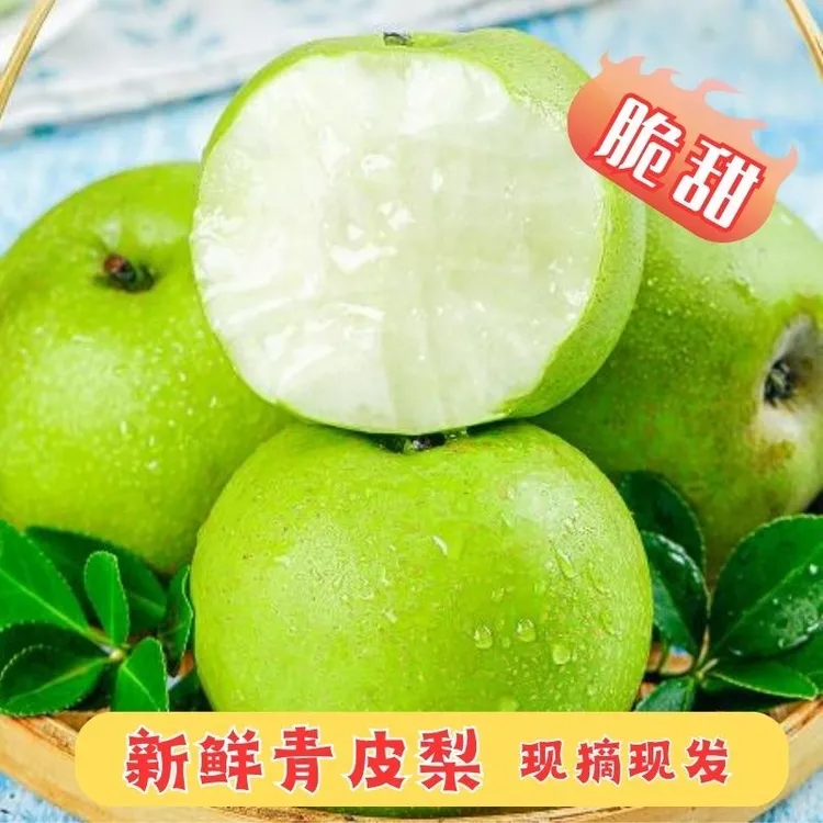 正宗青皮蜜梨新鲜水果蜜梨脆梨顺丰包邮5斤礼口感梨