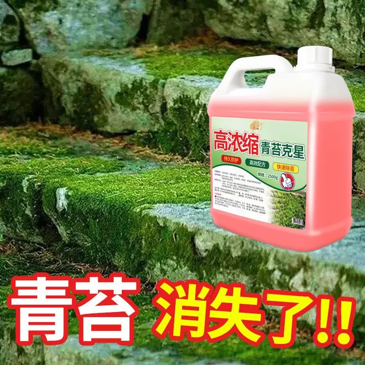 高浓缩青苔去除剂水泥地面青苔除苔清洁剂墙面苔藓藻类快速清除剂