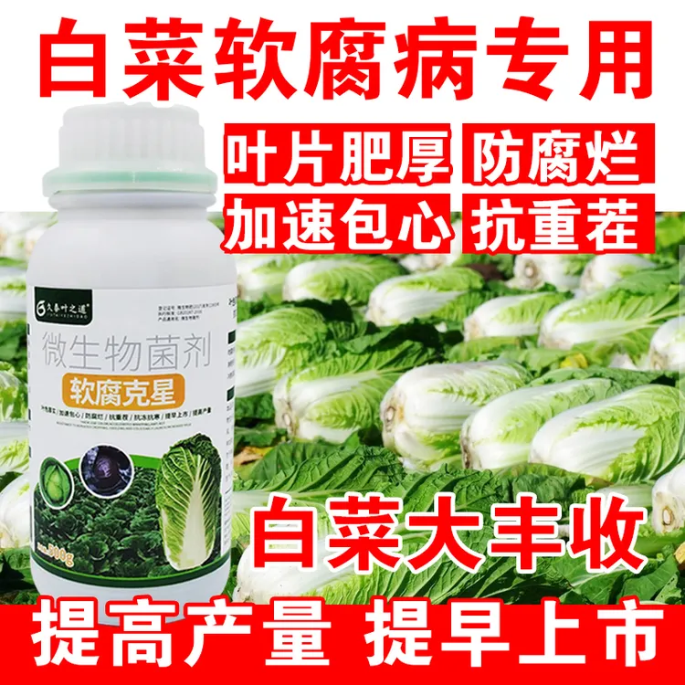 白菜专用药白菜软腐立枯病根腐黄叶霜霉病特效农药专用杀菌剂农用