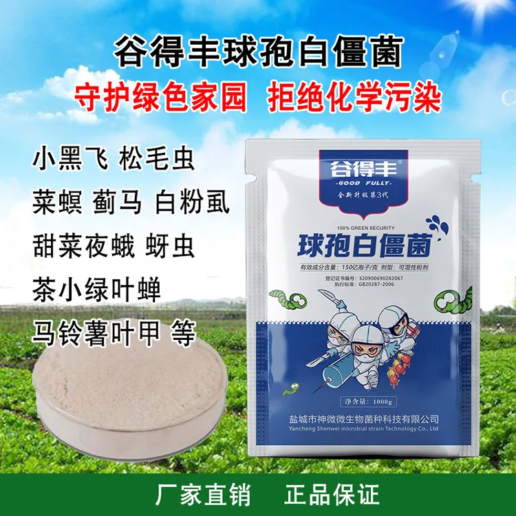 球孢白僵菌 微生物质绿色粉剂农用广谱生态农业