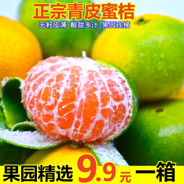 【正宗青皮蜜桔】酸甜可口新鲜桔子 皮薄多汁果园现摘水果2/5/9斤装