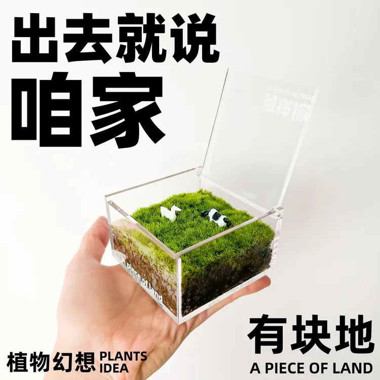 植物幻想-有块地草坪微景观桌面植物盆栽创意生态瓶植物盆栽青苔