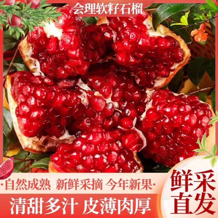 四川会理突尼斯软籽石榴清甜多汁皮薄自然成熟新鲜采摘果园直发