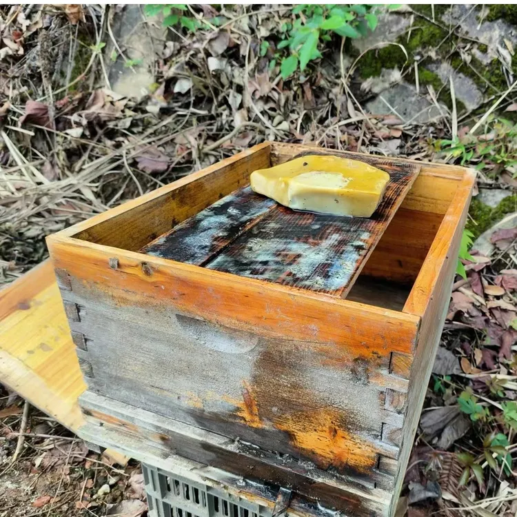 诱蜂蜡引蜂蜡诱蜂引蜂用养蜂土蜂蜡天然提炼蜂蜡