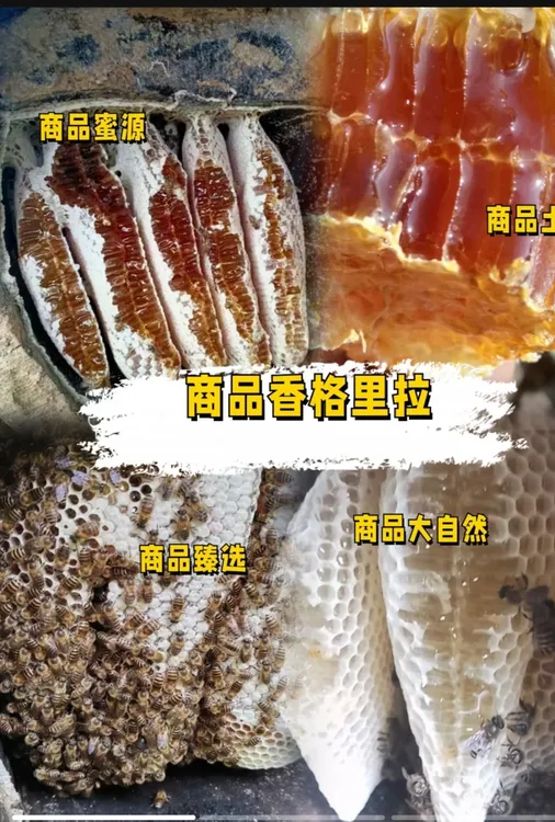 香格里拉土蜂蜜，来自海拔2800多米的大自然臻选好物