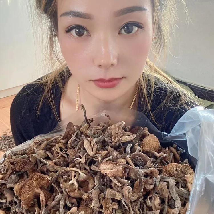小雪精选自家嗮干蘑菇500克包邮