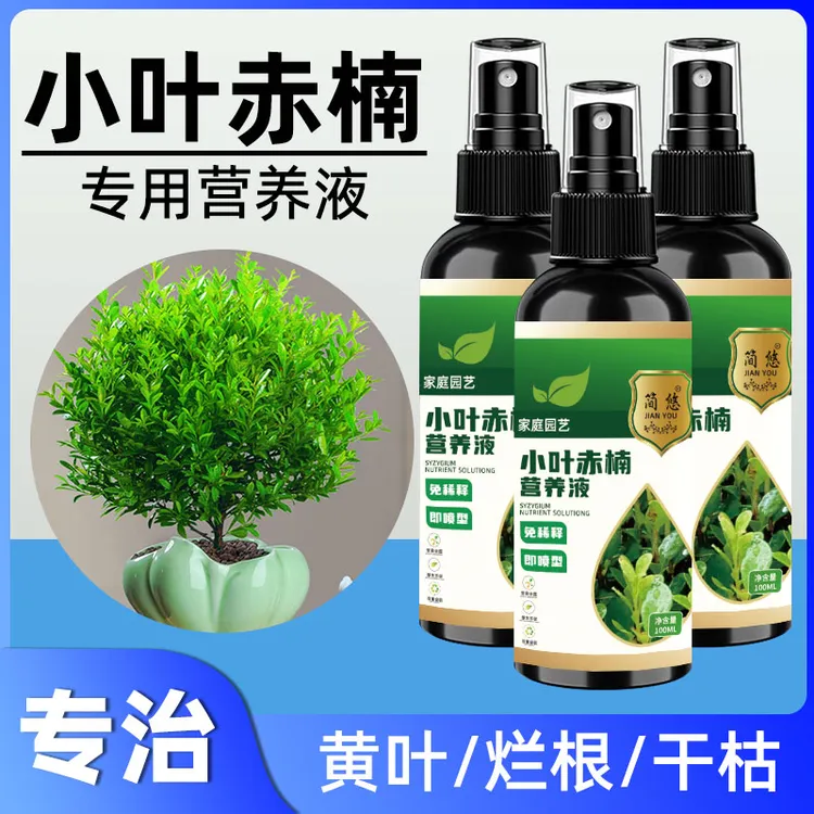 小叶赤楠专用叶子掉落枯萎黄叶专用盆景营养液催新芽叶面有机肥料