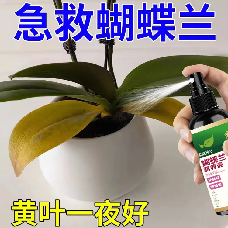 蝴蝶兰营养液专用黄叶枯萎腐烂治烂根不开花促箭催花爆根剂免稀释