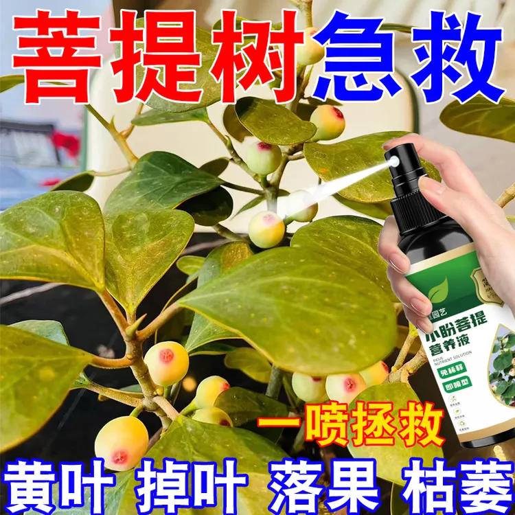 一喷拯救】小盼菩提专用营养液预防黄叶落果枯萎促生长绿叶新型肥