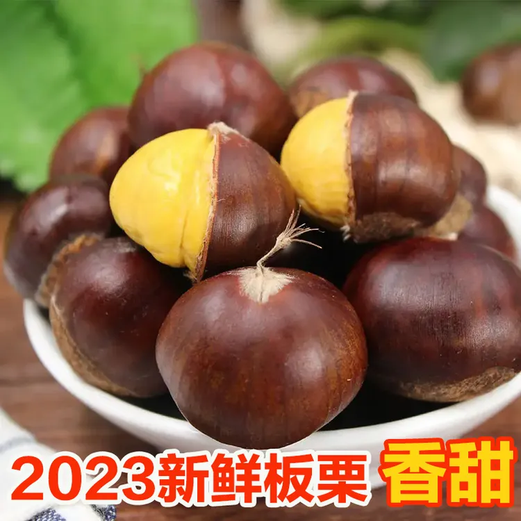 2024新下树迁西板栗鲜果新栗子河北唐山特产新鲜生板栗
