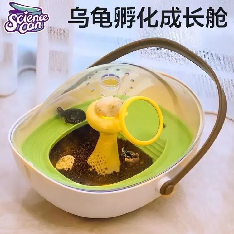 科学罐头乌龟孵化舱爬台晒台养动物专用缸小学生生物观察实验玩具