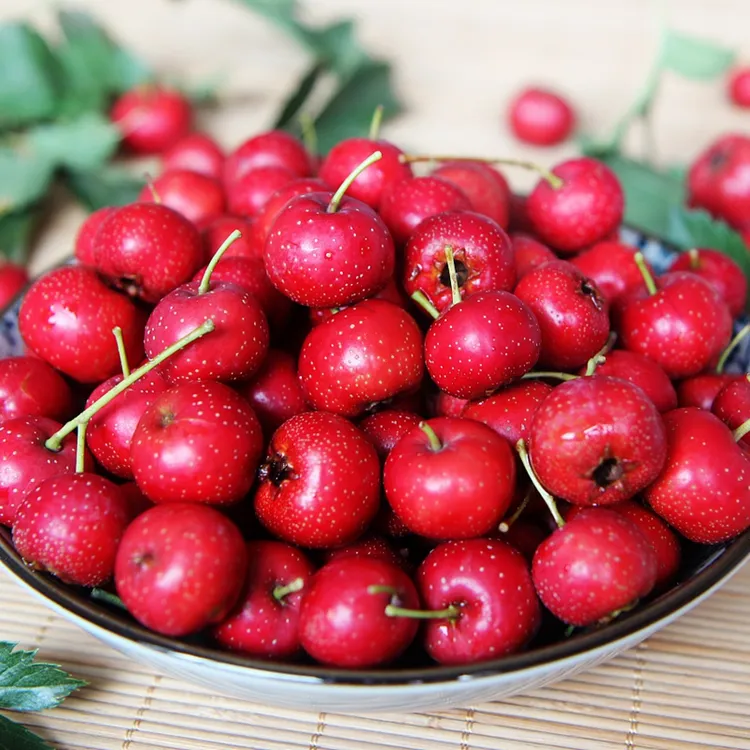 甜红小山楂开胃新鲜山楂山里红果鲜果精选山楂酸甜可口1/2/3/5斤