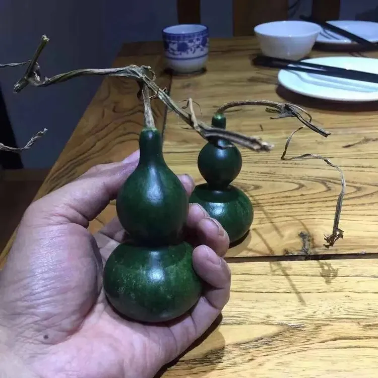 墨绿葫手捻葫芦种子翠玉葫芦翡翠葫芦小葫芦亚腰种籽四季盆栽阳台商品图