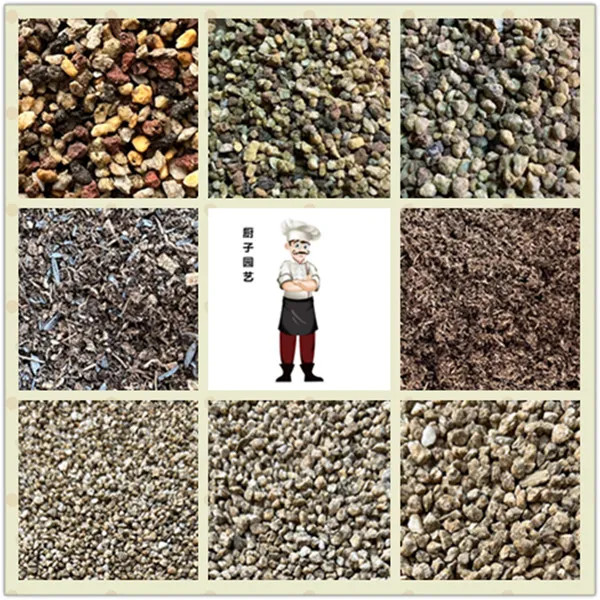 点点推荐【厨子园艺】颗粒土品氏泥炭水洗麦饭石播种移苗控养捕虫堇