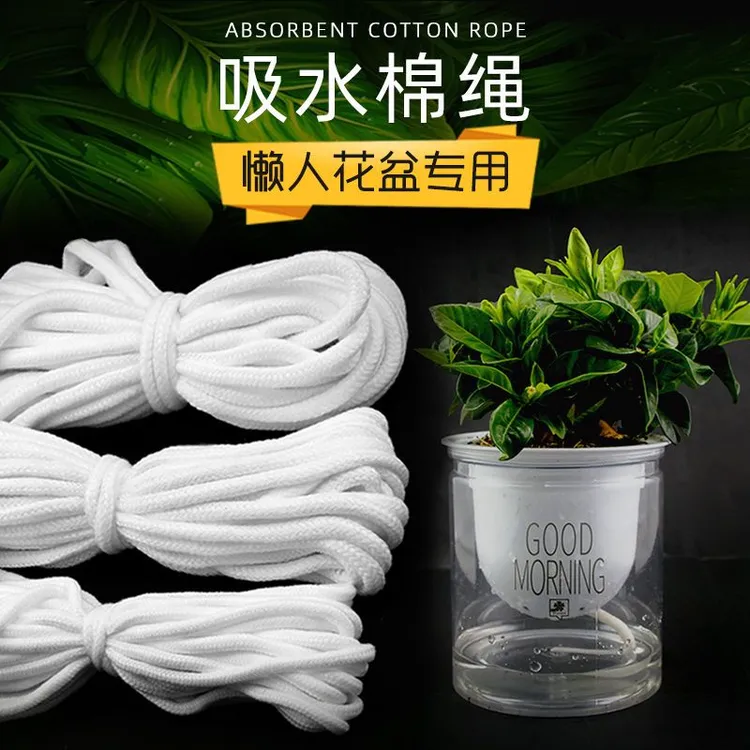 绿植花卉吸水棉绳水培假山吸水棉绳懒人花盆蝴蝶兰出差植物吸水绳