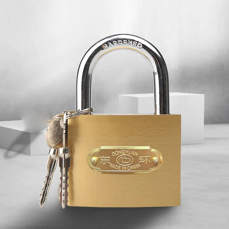 十字挂锁防盗锁家用门锁抽屉锁防水防锈防撬锁具宿舍用锁子柜子锁商品图