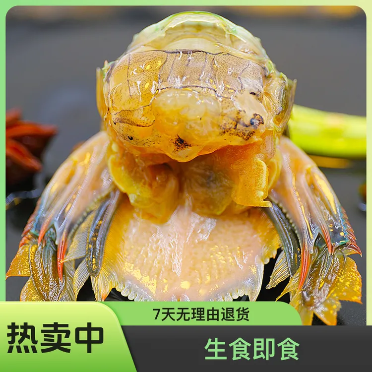 生呛虾爬子段生腌皮皮虾段800克/桶生酱爬虾虾蛄生食即食海鲜水产