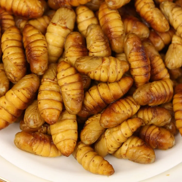 蚕蛹新鲜金丝蛹鲜活速冻蛹山东桑蛹黄金蛹蚕柞蚕蛹非即食冷冻