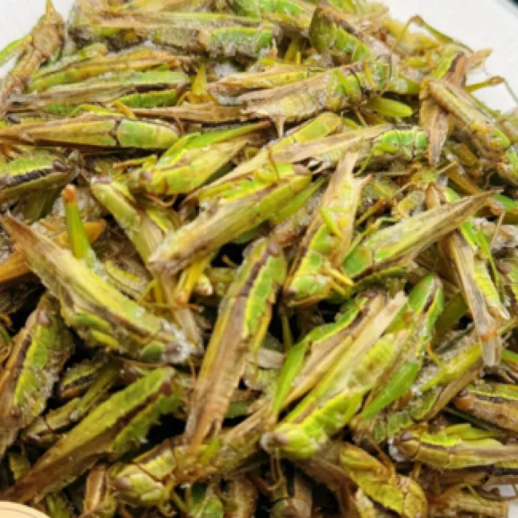 贵州新鲜野生稻田蚱蜢冰冻蝗虫初级农产品