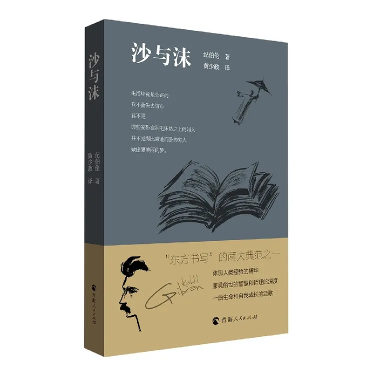 沙与沫  正版书籍精选好书