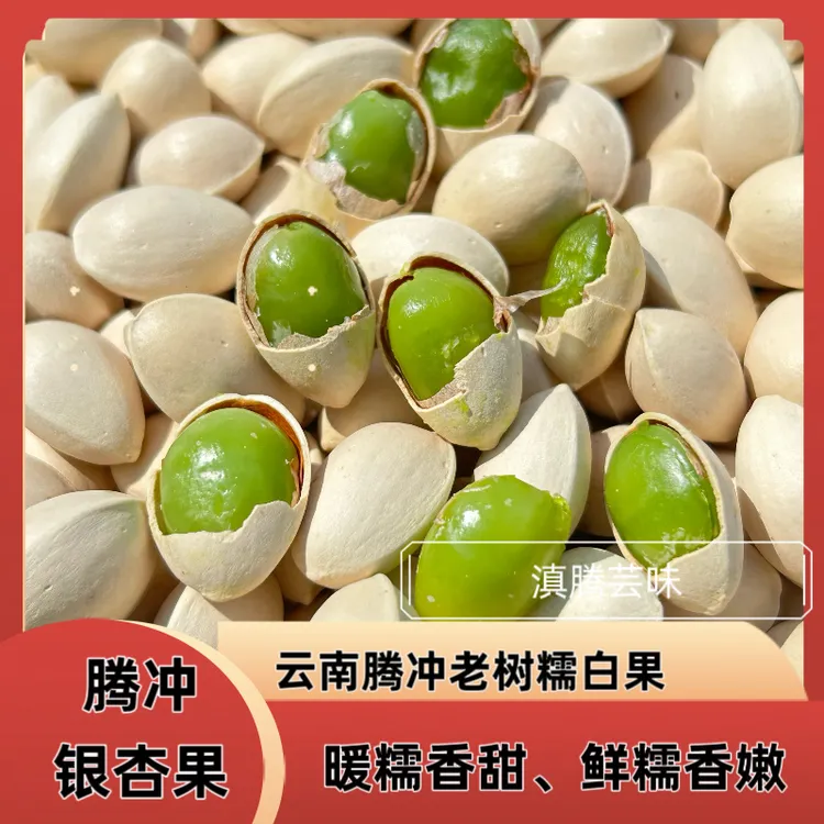 2025新鲜白果子银杏果糯白果生百果仁无漂白带壳云南腾冲特产500g