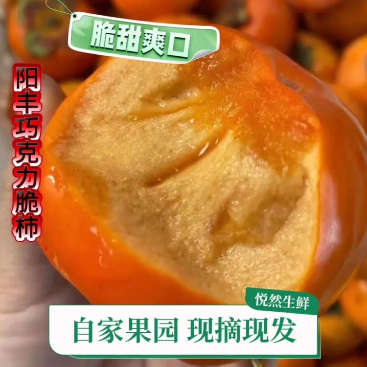 陕西黄土坡阳丰脆柿现摘现发脆甜爽口巧克力脆柿应季水果