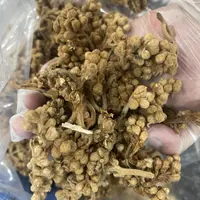 【玉姐精选】秋润枇杷花 煮水煲汤非发霉 250g/500g （胶）