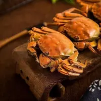 【大侠海鲜】鲜活盘锦稻田蟹 20只全母 每只1.0-1.3两  顺丰包邮