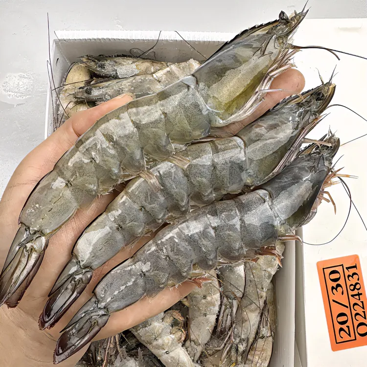 【杨小杨】特大号海洋海水大虾2030厄瓜多尔白虾对虾单只鲜甜盐冻虾