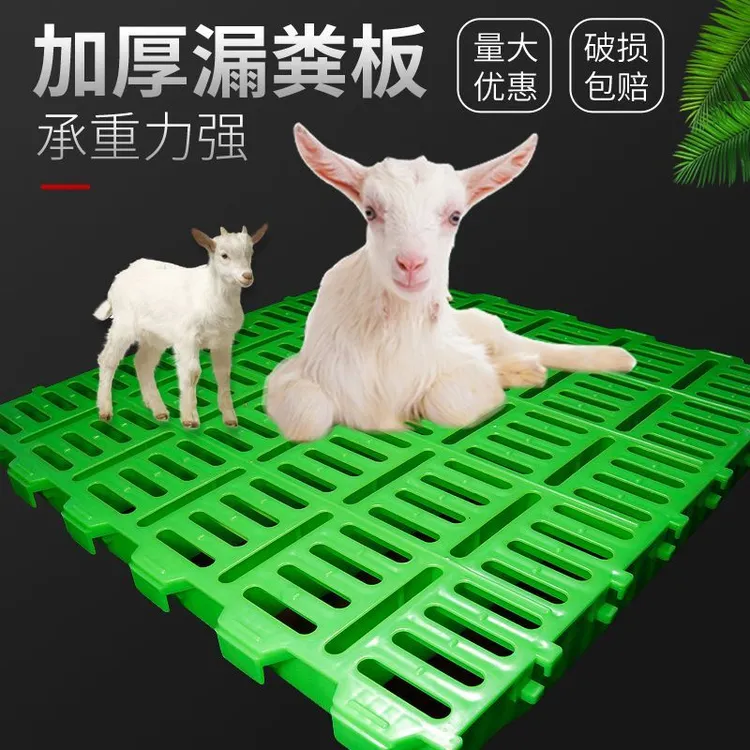 养羊专用羊舍羊场羊产床漏粪板塑料接粪板大型羊用仔猪保育漏粪板