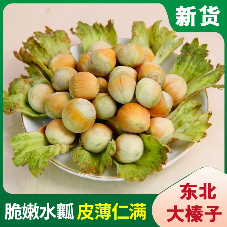 【顺丰】东北青皮大榛子2025年新货铁岭水仁榛子产地当天采摘