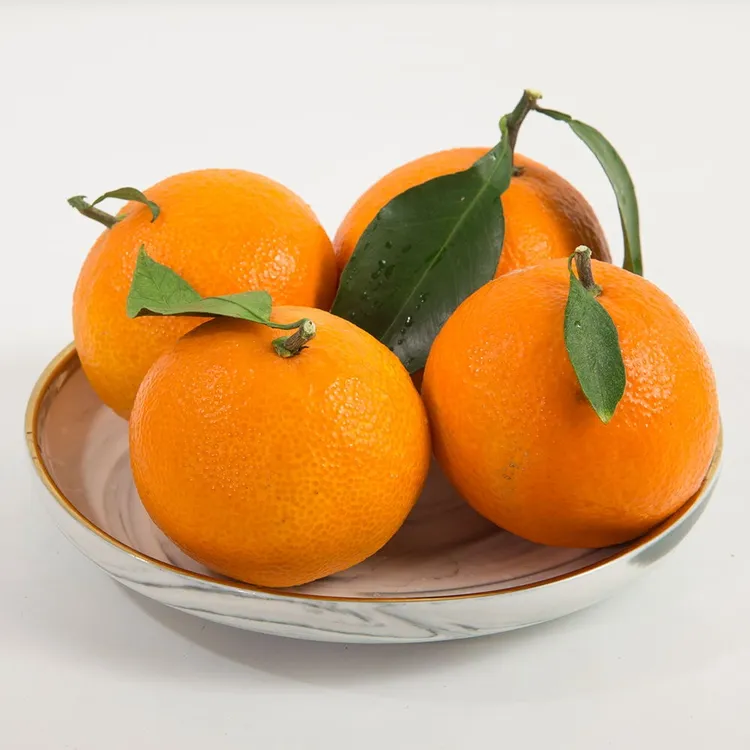 浙江玉环老树红美人新鲜应季水果