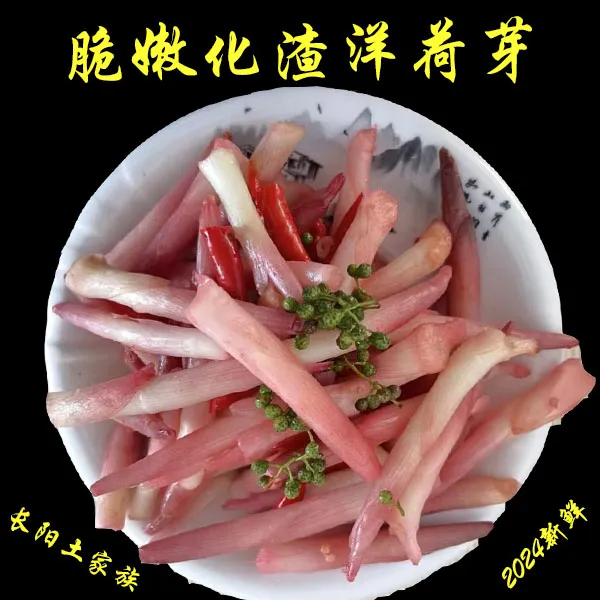 【泡洋荷芽】2024新鲜脆嫩化渣开胃即食特产散装云贵川下饭菜罐装