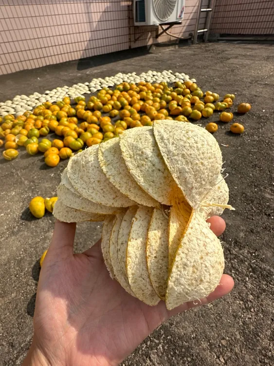 2023年东甲圈枝大红50g