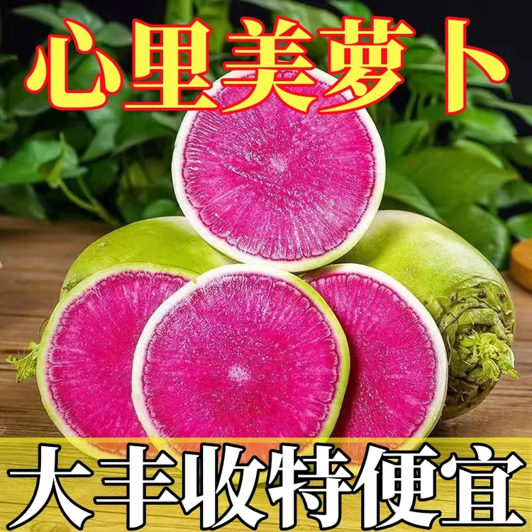 山东泰安心里美萝卜红心萝卜满堂红萝卜雕刻萝卜新鲜现挖