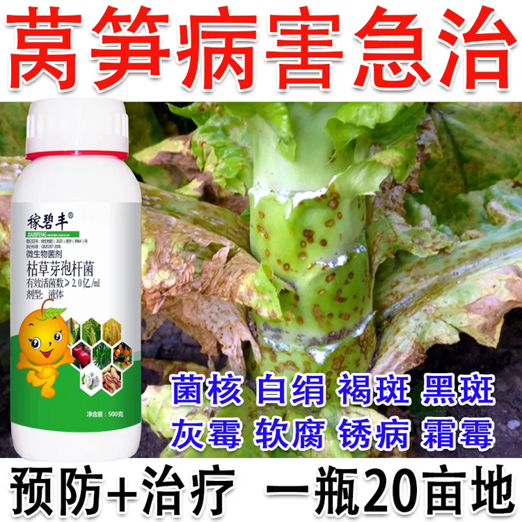 莴笋专用药莴笋软腐病菌核病根腐病霜霉病灰霉病褐斑病贡菜专用药
