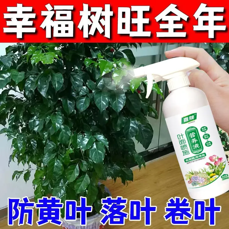 幸福树专用营养液治枯叶掉叶室内盆栽绿植防黄叶烂根有机专用肥料