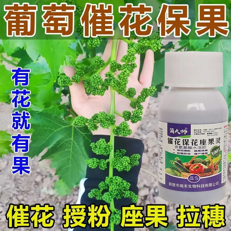 葡萄树增产剂葡萄专用肥葡萄坐果药保花保果增产增甜专用坐果灵