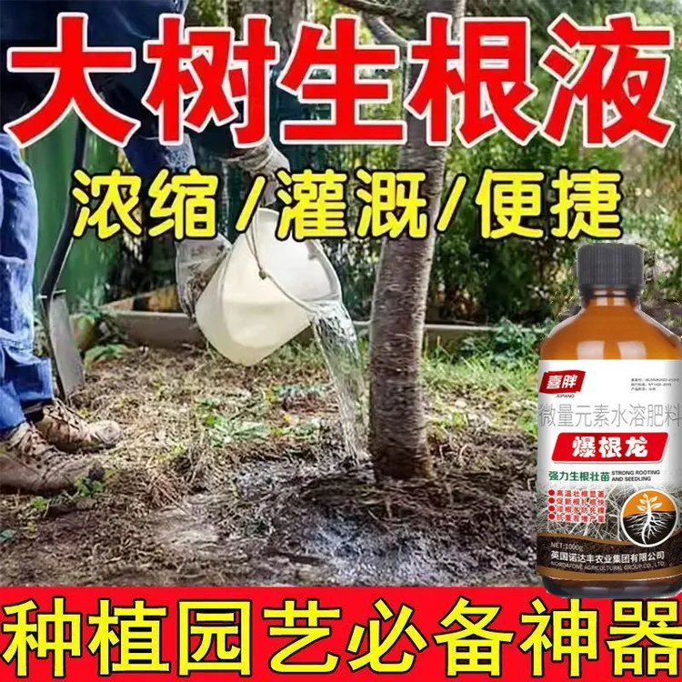 果树移栽专用生根剂移栽树木营养液快速生根复活神器强力生根粉肥