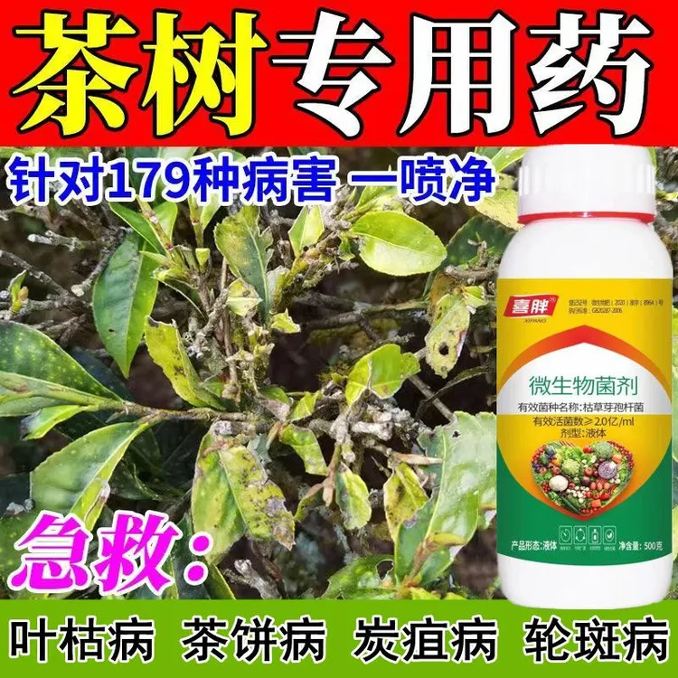 茶叶茶树病全治茶饼病根腐炭疽病叶斑病全治茶叶专用农用肥料