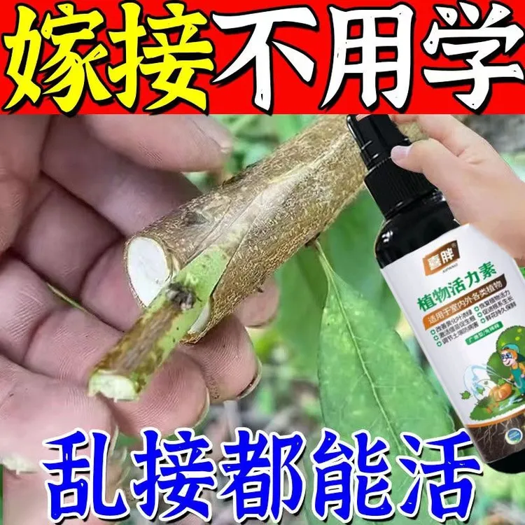 果树嫁接愈合剂促活液树木伤口移植修复嫁接伤口盆栽花卉切口愈合
