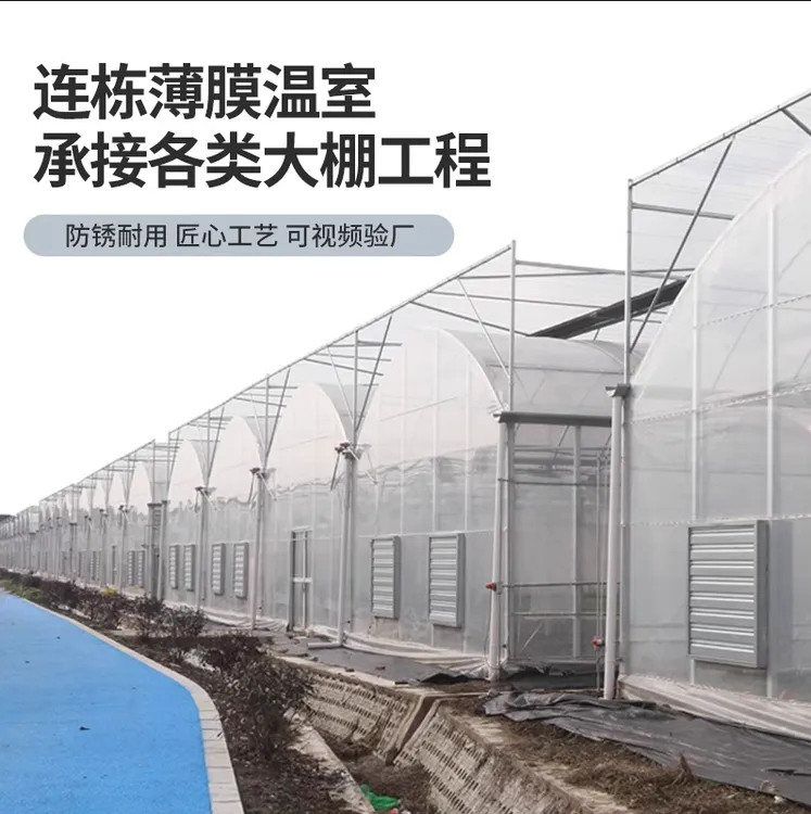 连栋大棚玻璃温室养殖鸡鸭大棚育苗棚花卉种植棚菌菇棚椭圆管大棚