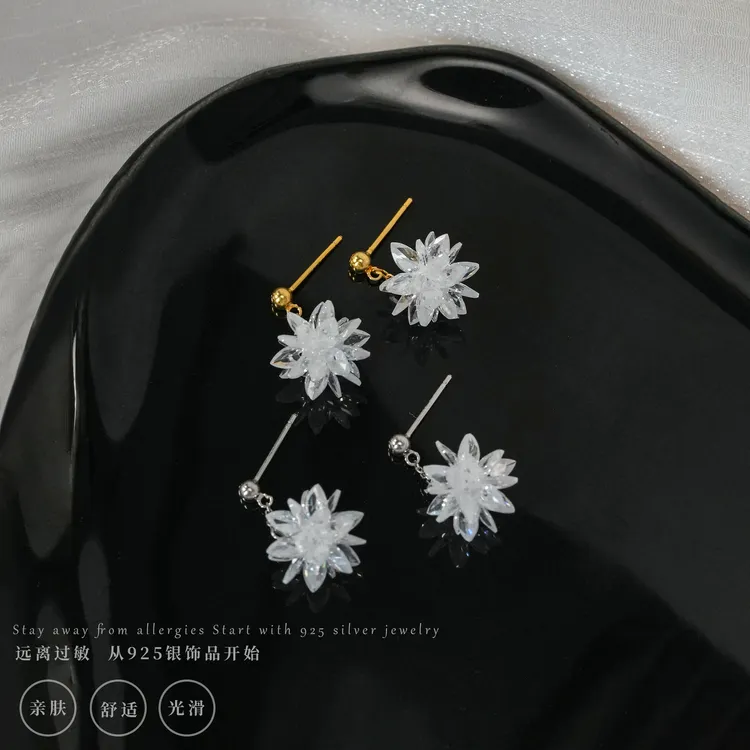 丽沁 925银合成锆石耳饰 冰花满天星耳钉女超仙气质耳环ins耳饰品