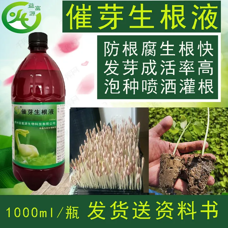 种子发芽剂催芽生根液粉移栽营养液白芨黄精种子生姜重楼辣椒生长