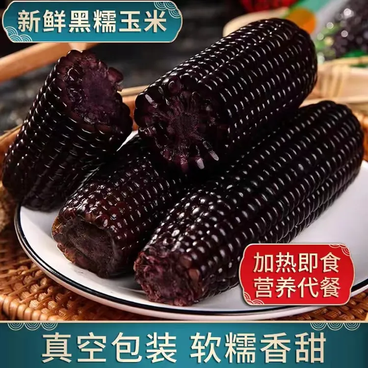 【试吃两根】25年新鲜黑糯玉米整箱8根单根250-300g