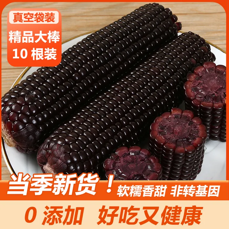 【试吃2根】25年头茬新鲜黑糯玉米整箱10根装单根250-320g/根007
