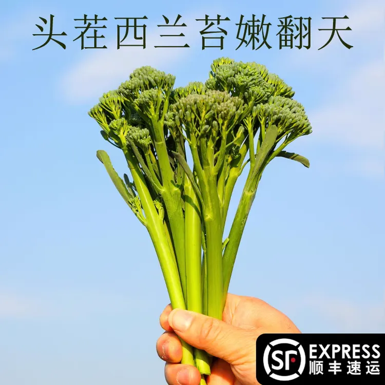芦笋西兰苔新鲜蔬菜细杆菜苔蓝花小西兰非芥兰菜心产地直发现摘